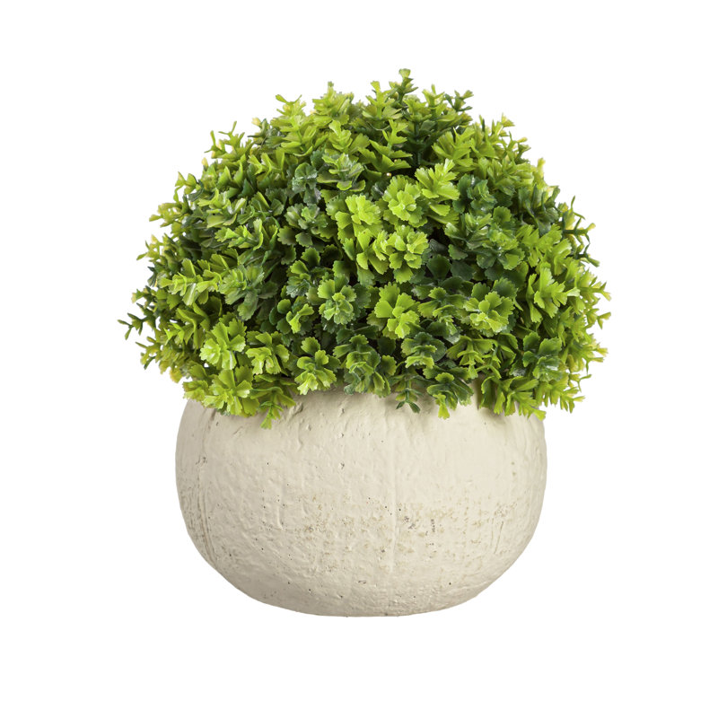 Buis artificiel en pot 6,25 po