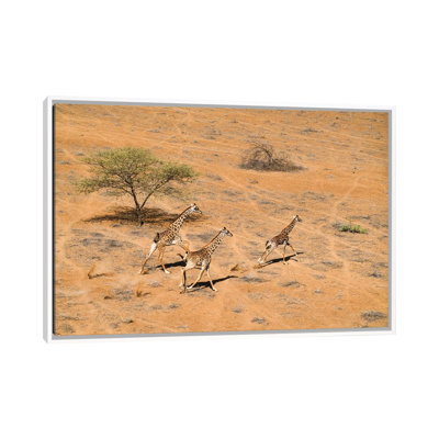 Family Paradise by John Fan - Floater Frame Print on Canvas