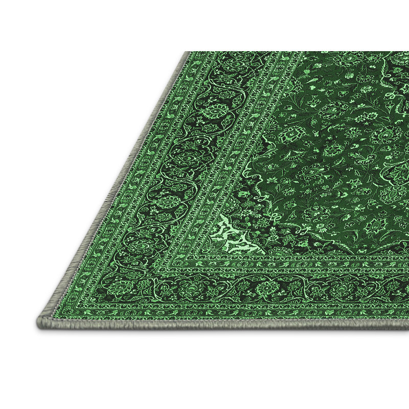 Jevgenia Performance Oriental Indoor Rug, Runner 2' x 5'