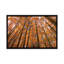 «Orange Grove» par Bill Sherrell, impression sur toile tendue-31987599-73871968-73871969
