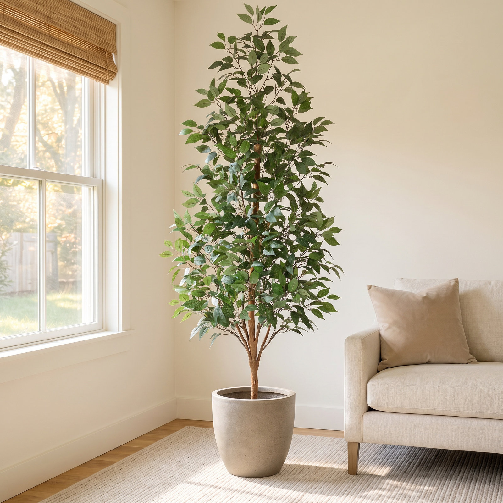 Adcock Ficus Tree in Pot, 82" H x 20" W x 20" D