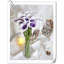 Arrangement Lillies-623490070-623490072