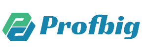 Logo Profbig