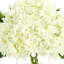 Hortensias dans un vase en verre-106608501-68378897