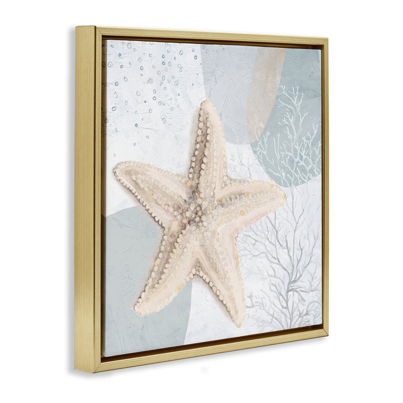 «Starfish over Circle», art mural encadré flottant par Patricia Pinto, Cadre flottant métallique doré, H 25 po x l 25 po