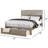 Eve Platform Storage Bed-89095876-89095877