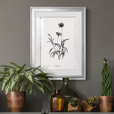 " Simply Imperial " Painting Print