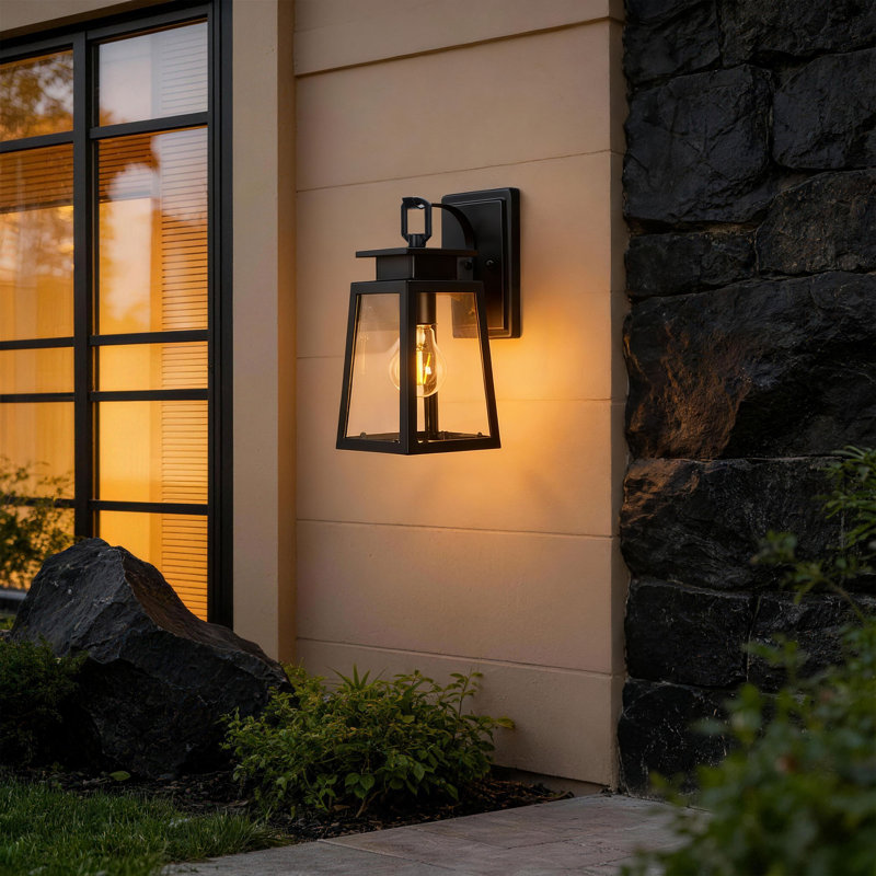 Schlesinger Black Steel with Clear Glass Outdoor Wall Light