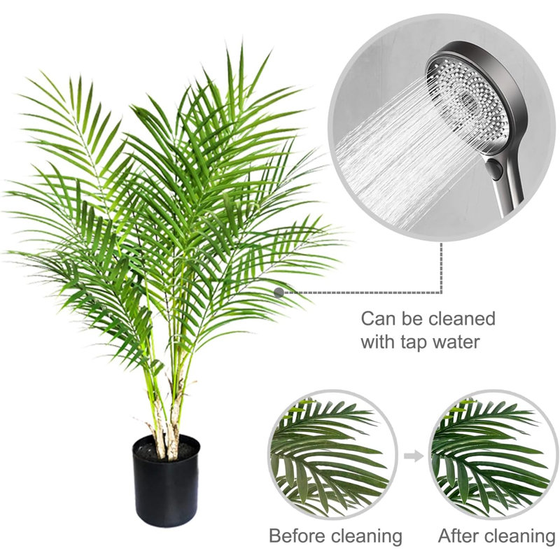 Plante de 30 po