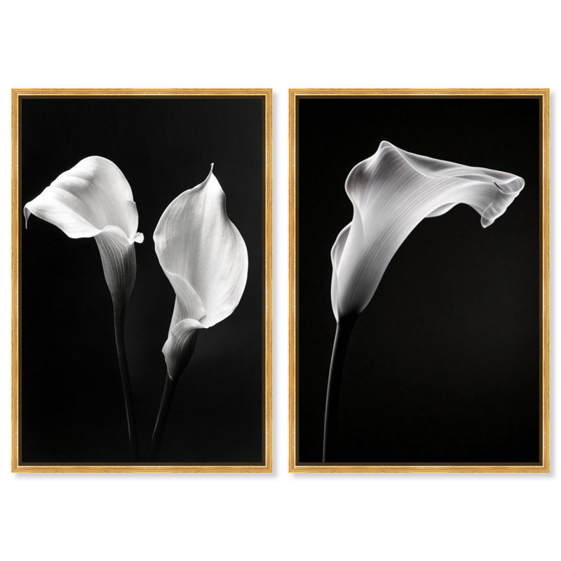 Calla Lily Set Set by Oliver Gal, Gold Floater Frame, 17"H x 25"W