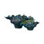 Meteor Bowl-Blue-Lg