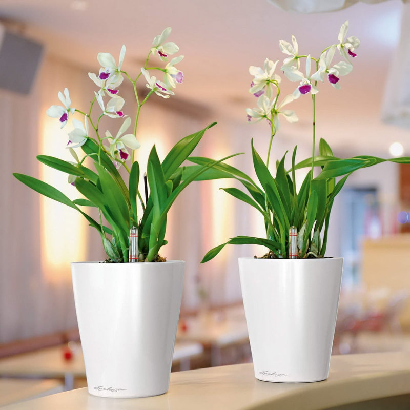 Pot à fleurs carré Deltini avec indicateur de niveau d'eau pour l'intérieur, blanc brillant, White