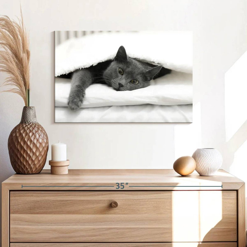 Brampt Lazy Cat, 16" H x 24" W