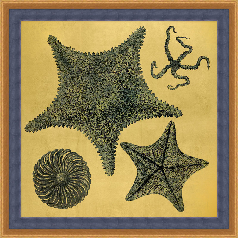 Gold Leaf Starfish 2 Print
