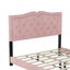 Size Upholstered Bed Frame With Rivet Design, Modern Velvet Platform Bed With Tufted Headboard,Pink-1733442943