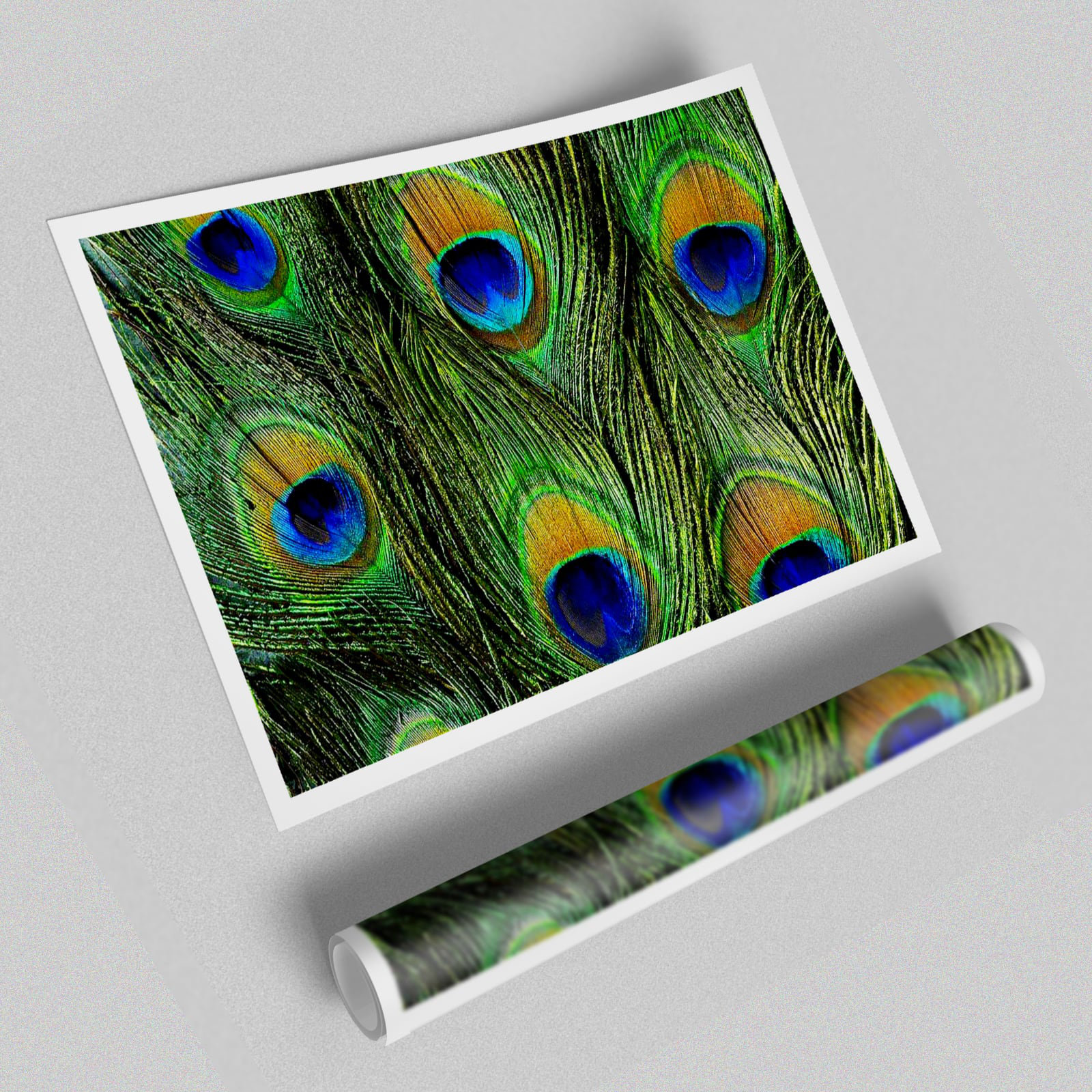East Urban Home Peacock Feathers - Graphic Art Print on Paper | Wayfair ...