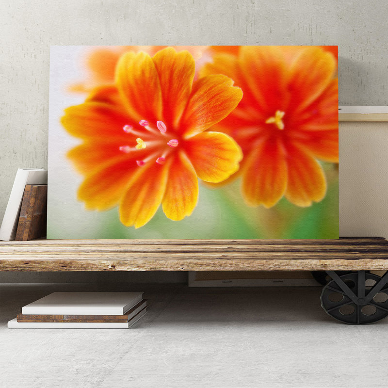 Wrapped Canvas Print, 35cm H x 50cm W