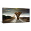«Single Walking Elephant», reproduction de photo sur toile tendue-23975727-33267641