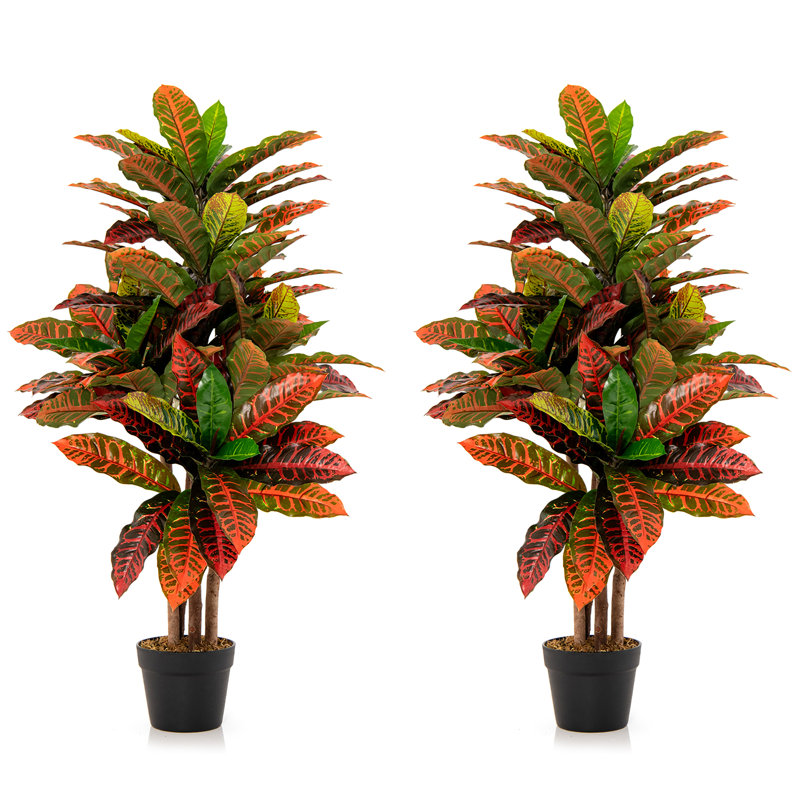 Plante artificielle croton de 40 po de hauteur avec feuilles colorées et troncs de bois naturel Primrue
