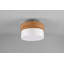 Krystallee 2-Light 30cm Flush Mount-1941414478