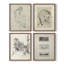 Croquis rétro CIV, ensemble de 4 reproductions encadrées-855580646-855580647