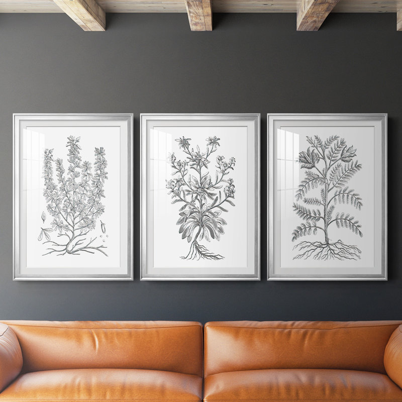 Reproduction encadrée de qualité supérieure B & W Plant Spechantillon V - prête à être accrochée, Argent