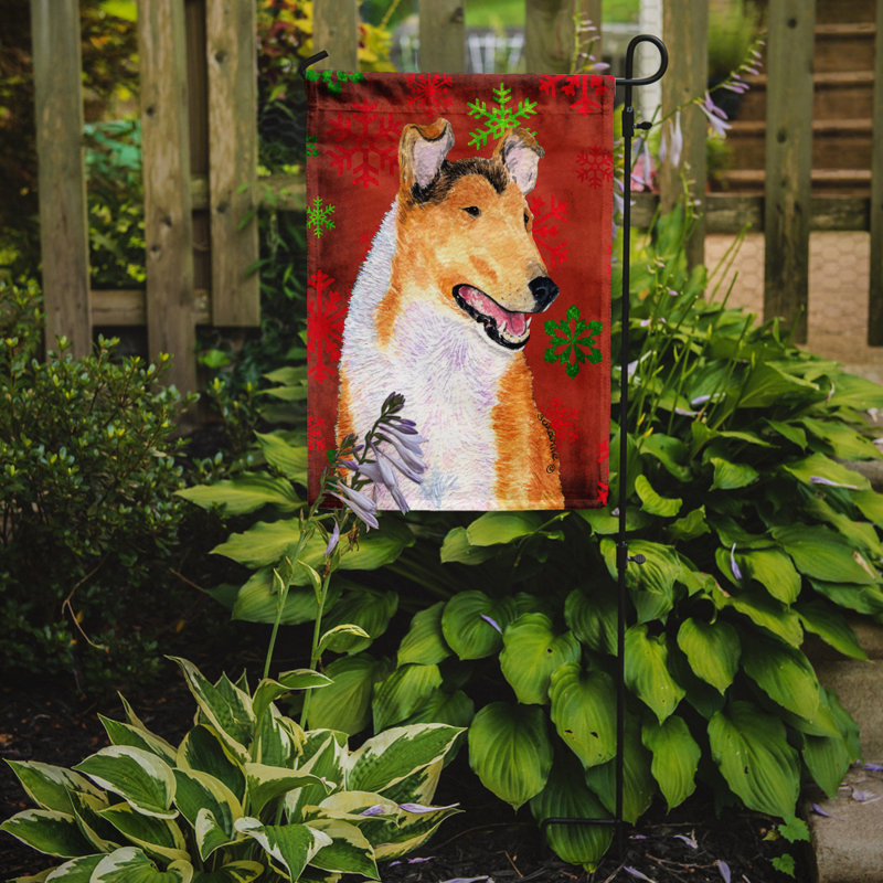Drapeau rouge et vert Vart, Collie à poil court
