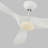 Franny Ceiling Fan with LED Lights-2008673707-1891806493