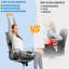 Seat Cushion Cushion