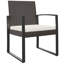 Red Barrel Studio Patio Dining Chairs 2 Pcs Brown PP Rattan-147960962-147960960
