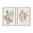 Wildflower Bunch and Wild Salvia by Sara Berrenson Framed Canvas Wall Art Set