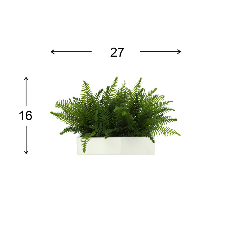 Outdoor UV Rated Ferns Arranged in Fiberstone Planter, 16" H x 27" W, White
