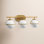 Arie 3 - Light Dimmable Vanity Light