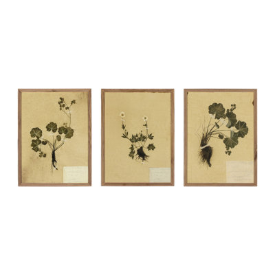Petite Study Triptych Painting by Hannah Winters