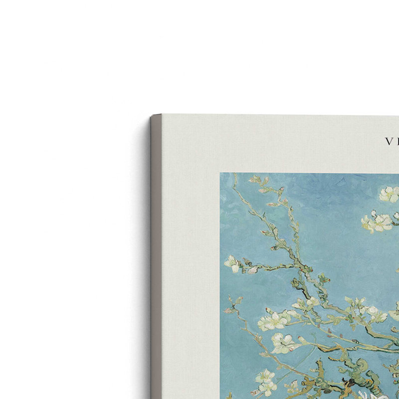 Van Gogh's Ammond Blossom v2, Toile tendue, H 8 po x l 12 po