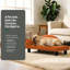 Canapé-lit moderne surélevé pour chien, canapé imperméable et facile à nettoyer pour petits et moyens chiens