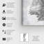 Mes plumes gris clair My Silver Wings - impression-53773333-53773326