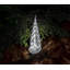 Silver Leaf Evergreen-46309273