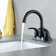 Centerset 2-Handle High Arc Bathroom Faucet with Drain Assembly