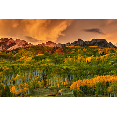 Colorado Autumn along Kebler 1 Piece Wrapped Canvas Wall Art