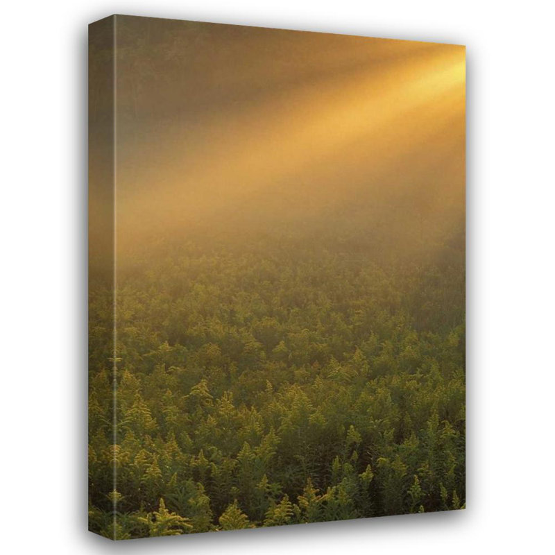 «Millwood Pines Carlson», art sur toile tendue par Mark, H 18 po x l 13 po