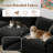 Amika 5 - Piece Upholstered Sectional, Cloud Couch Modular Sectional Sofa for Living Room and Bedroom-506478409