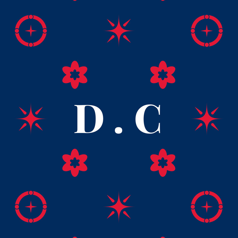 Oreiller DC Basketball