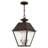 Fraida Bulb Outdoor Hanging Lantern-22670233