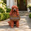 Statue de jardin en résine représentant un caniche, peinte à la main, de 36,6 cm (14,4 pouces), avec lumière solaire et panneau de bienvenue double face.-1908671056