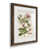 Papier, cadre noyer