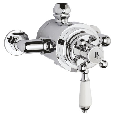 Double Exposed Thermostatic Shower Valve