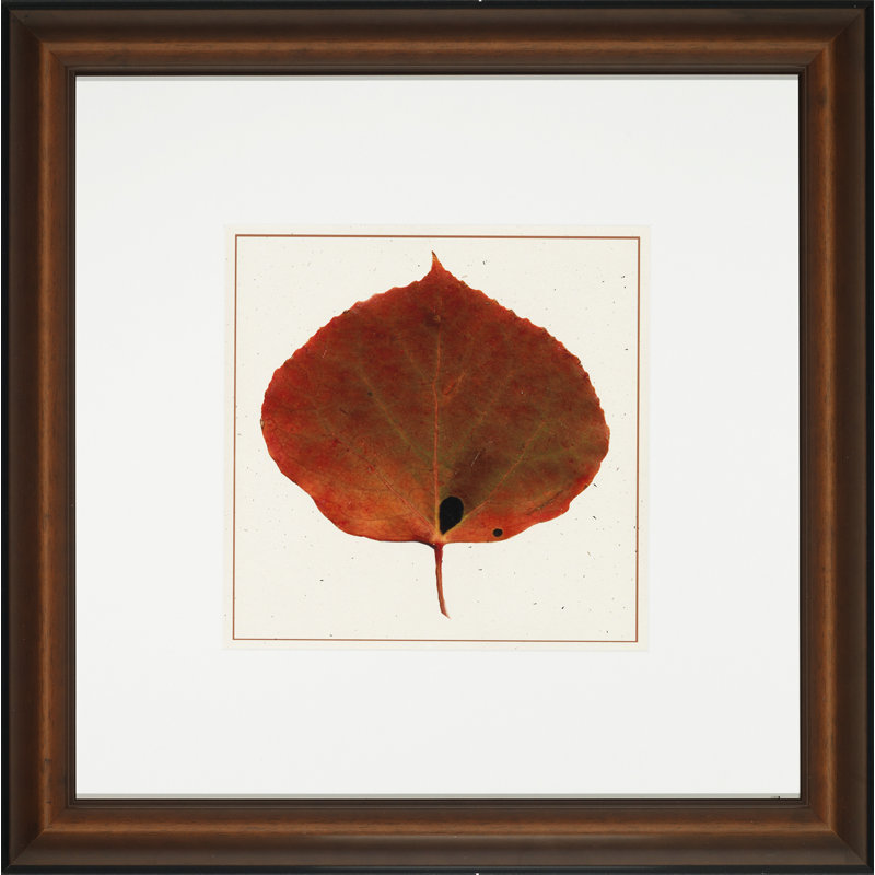 Nature Leaves IV Print