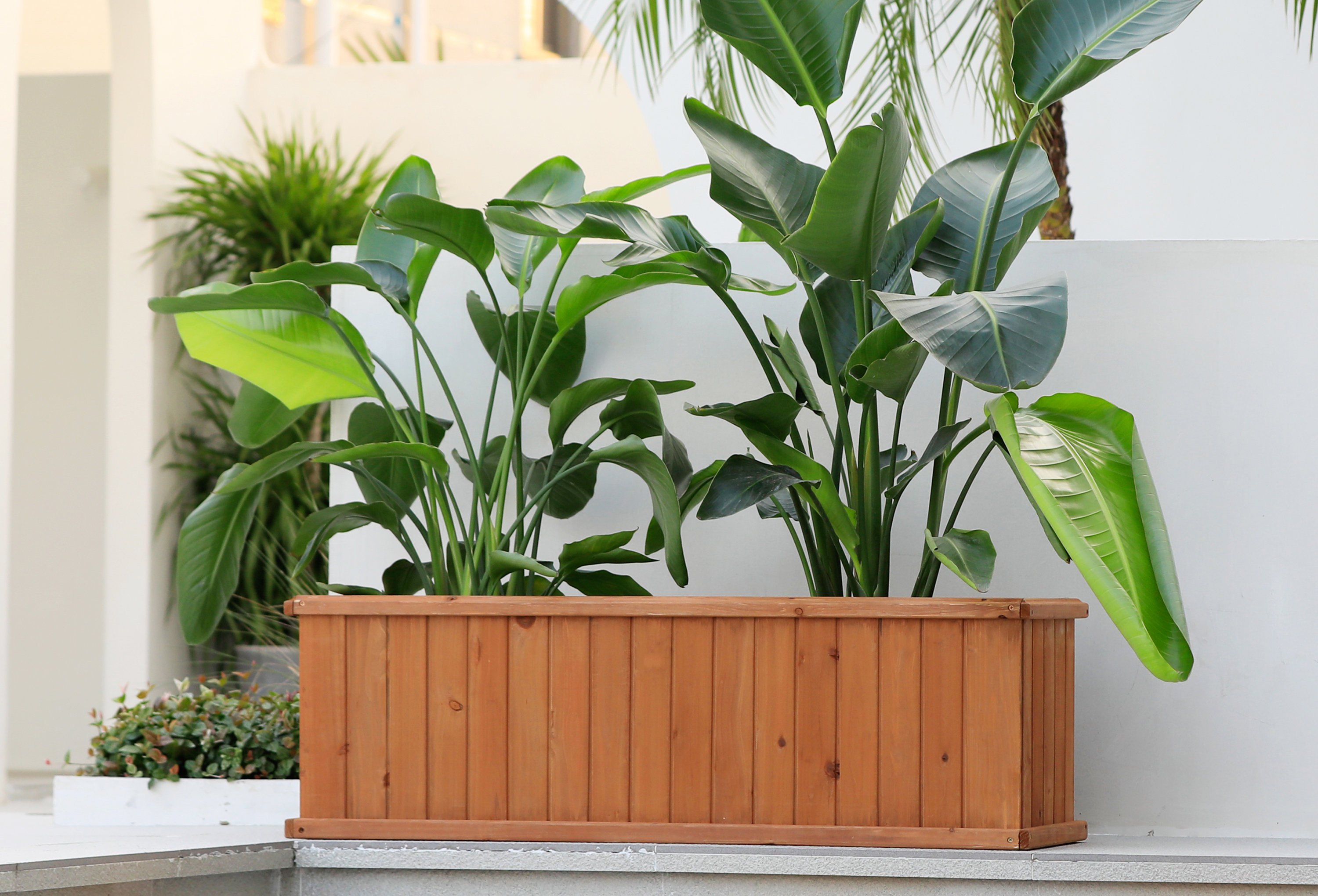 Barros Outdoor Wood Planter Box New green house beauty and hope Raised Garden Bed