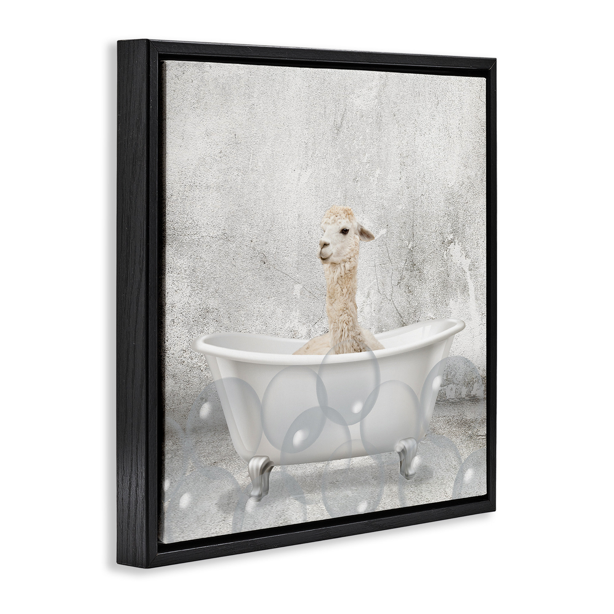 Trinx Baby Llama Bath Time Framed Floater Canvas Wall Art by Kim Allen ...
